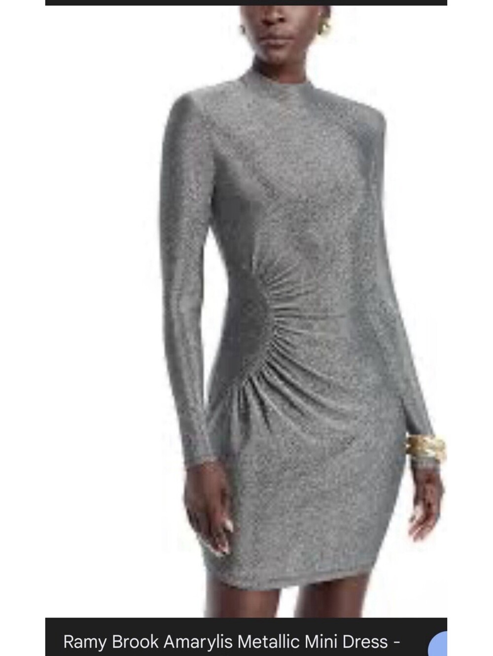 Ramy Brooks Amaryllis Metalic Mini Dress Party Cocktail Holiday $345